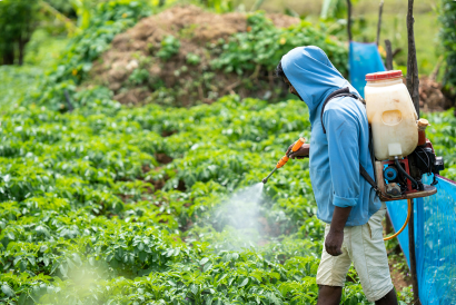 pexels-dinukagunawardana-17903068 1